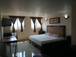 Hotel Real del Centro