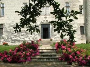 Chambres d'Hôtes Château de la Motte