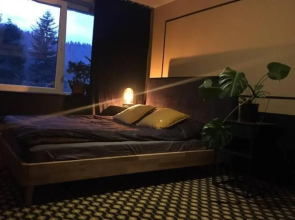Apartamenty i Las