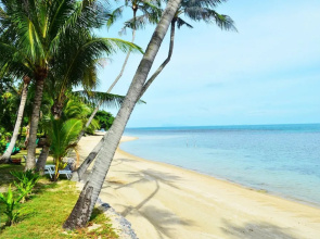Green Coconut Village B6