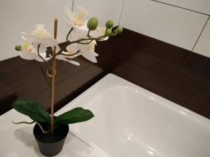 Luminous Apartment in Jurmala