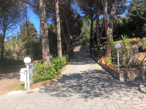 Hotel Edera*** Procchio