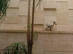 El Torito de Rota