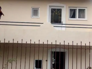 150ευρώ η μέρα