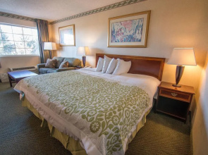莱瑟姆戴斯套房酒店/北阿尔巴尼(Albany Airport Hotel)