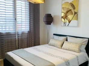 APPARTEMENT COEUR de ROANNE