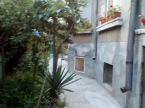 House Oasis