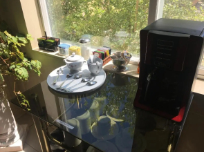 Shady Lady Bed  Breakfast