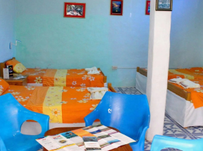 Galapagos Penguin Hostel