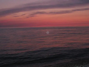 Guest House Romashka