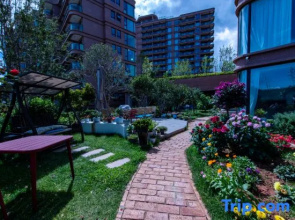 Creek Youthful Hotel