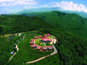 Wild Planet Resort