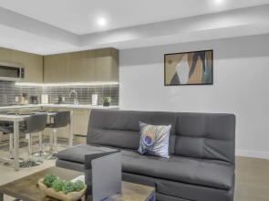 1br Logan Circle Furnished Apartment 1 Bedroom Apts by RedAwning