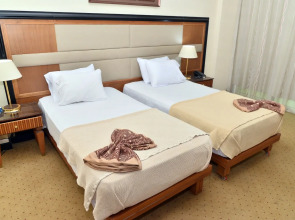 paradise home city stars