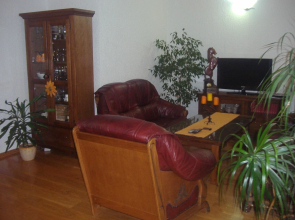 Apartments Marko Seline