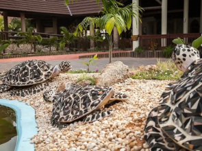 Amani Tiwi Beach Resort