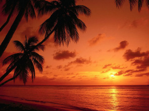 Miri Marriott Resort & Spa