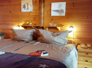 Finnish log House With Sauna and Fireplace