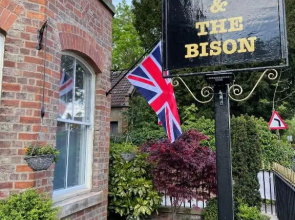The Bishop And The Bison