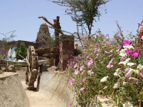 Отель Sharminn Amarein