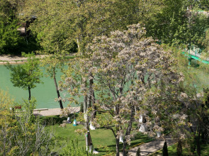 Отель Rohat Chilonzor