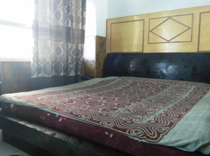 Hotel Mount View Shimla