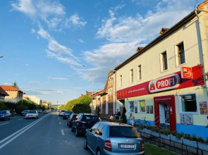 Central Apartment with Garden in Blaj
