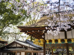 Kamo Residences by Reflections