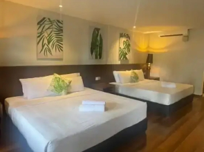 Arwana Perhentian Bluestar