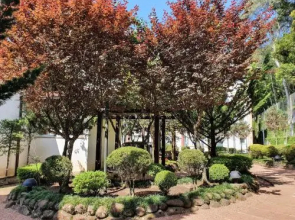 Apartamento Centro Gramado