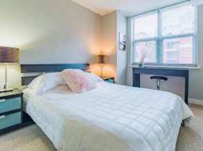 Lovely 2 Bedroom 2 Bathroom Apartment in the Nation s Capital 4 Guests