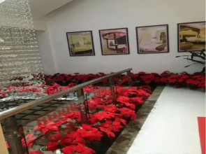 Xiamen Alice Theme Hotel