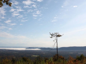 Tentrr - Bron Yr Aur