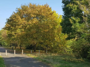 Garland Modern Apartment, Greenhithe 1 With Parking