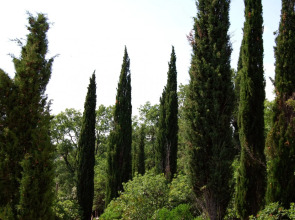 Spacious 1st Floor Apartment With Private Terrace in the Countryside,free Wi-fi