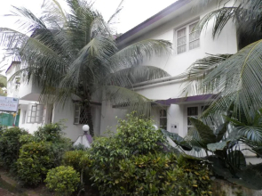 Sugarplum Macedo Palms