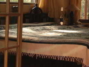 Kanha Jungle Lodge