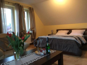 Willa Pod Starą Skocznią