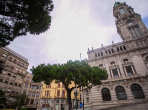 262 Boutique Aliados