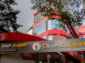 Olive Comfort
