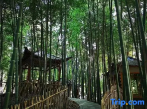Yinlin Villa Resort