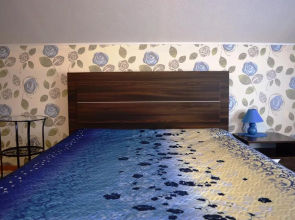 Viktoria Guest House