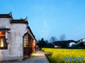 Wuyuan Huatianxi Thousand-Mu Rapeseed Flower Sea Photography Homestay