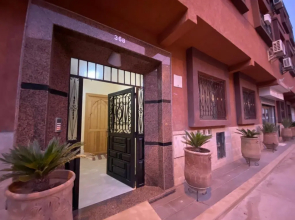 Cycas Family Aparts -Fibre Optique-