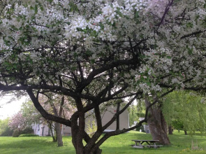 The INN at Willow Pond