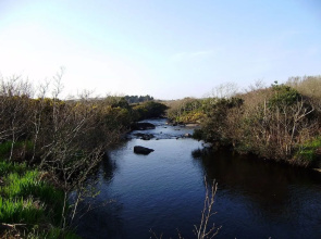 Cloverfox Connemara