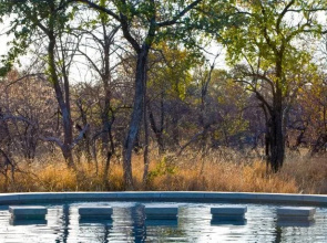 Mushara Bush Camp
