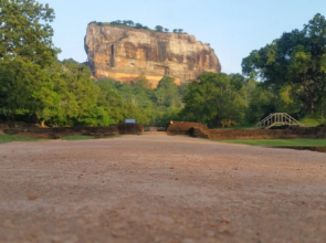 Fairview Dill homestay