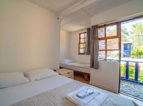 Olympos Forest House