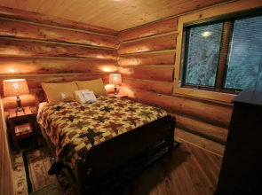 Pinecone Log Cabin